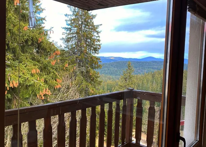 Cedar Heights Cozy * 潘波洛沃